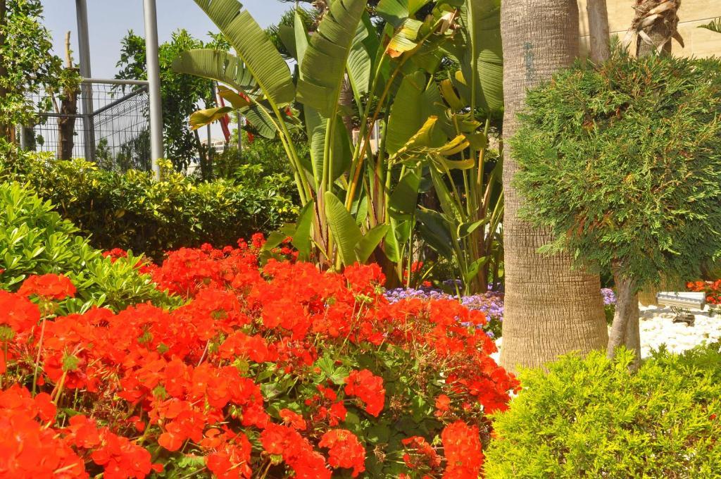 Mirador Resort & Spa Konaklı Eksteriør billede