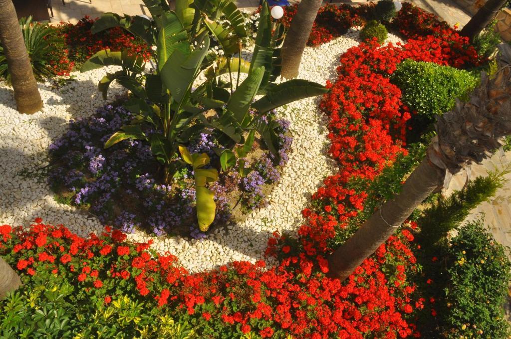 Mirador Resort & Spa Konaklı Eksteriør billede